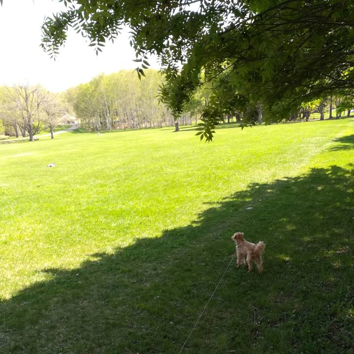 2c856cac 7af6 437e 8c5f 702a5a72715e 1526106090243