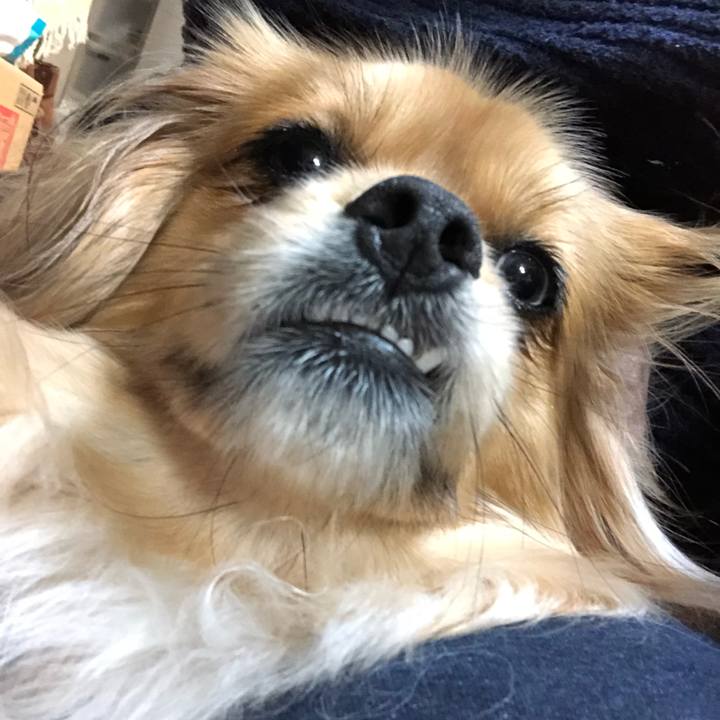 2c85873c 99fa 4710 b315 a8627e8d1f24 1555417040694