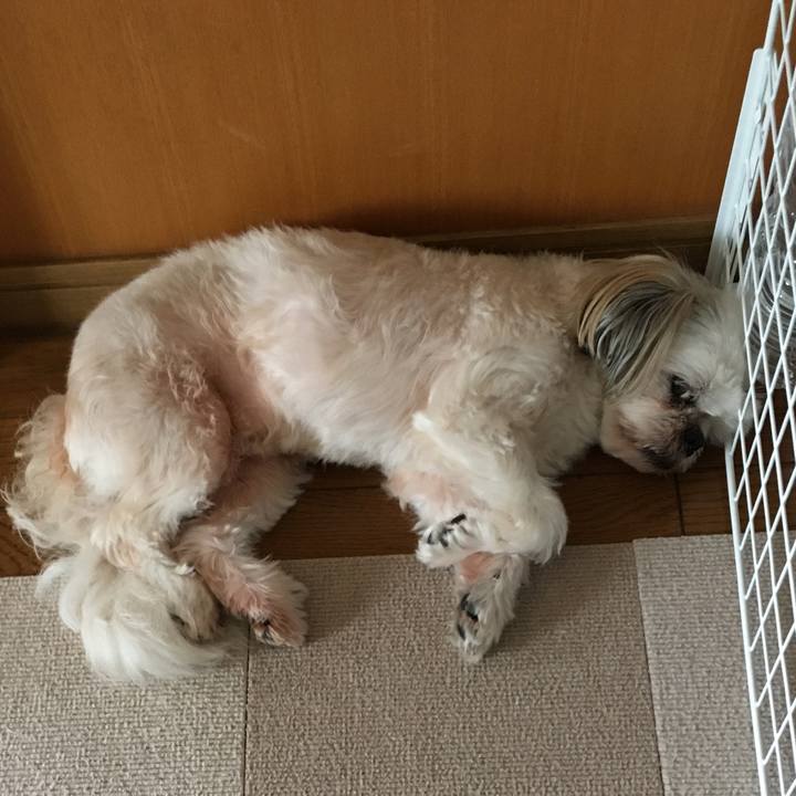 2c858e3c 7ebc 46eb 89ea 37694ff3449d 1630222637599