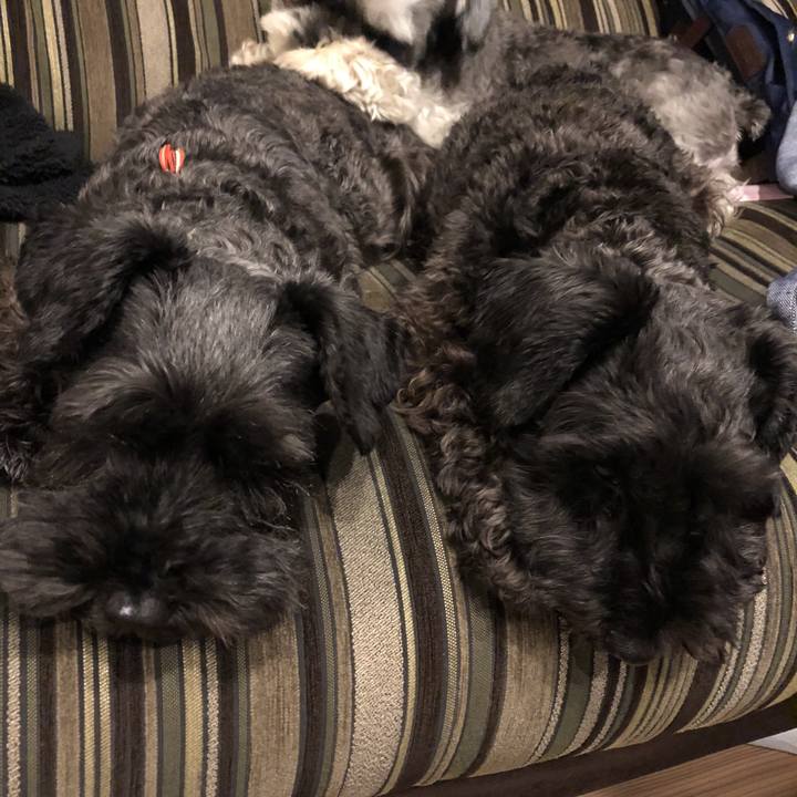 2c85b4d8 09a0 4e1a 9282 ce26d57ddd60 1541506015296