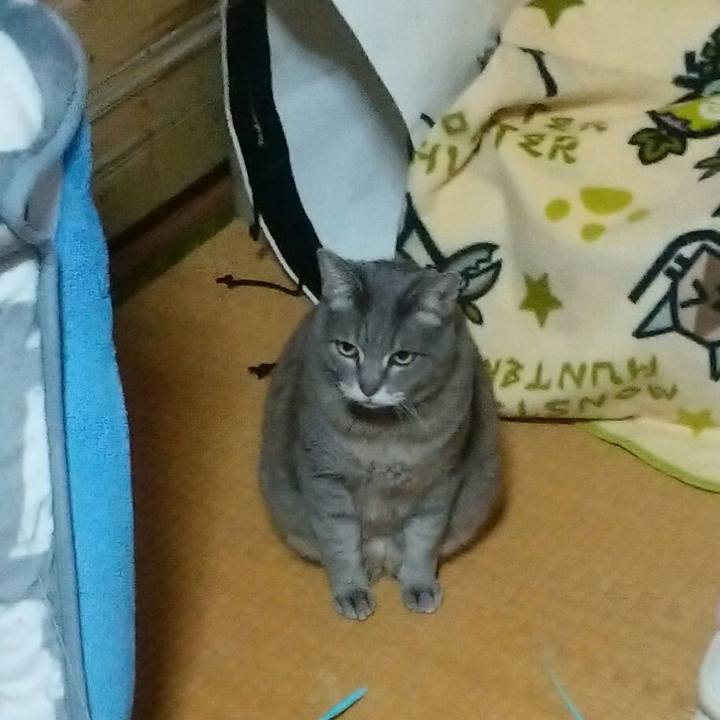 2c85cb6d 012b 4abf 93ea 043da064926d 1520630493259