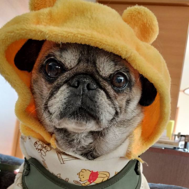 2c85d11f 7b3f 4b6f b733 e207415fec5e 1768560687540