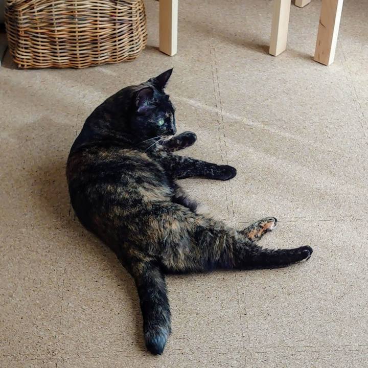 2c85e5f5 1a2f 4256 9f25 84a504ef9c7f 1761535712430