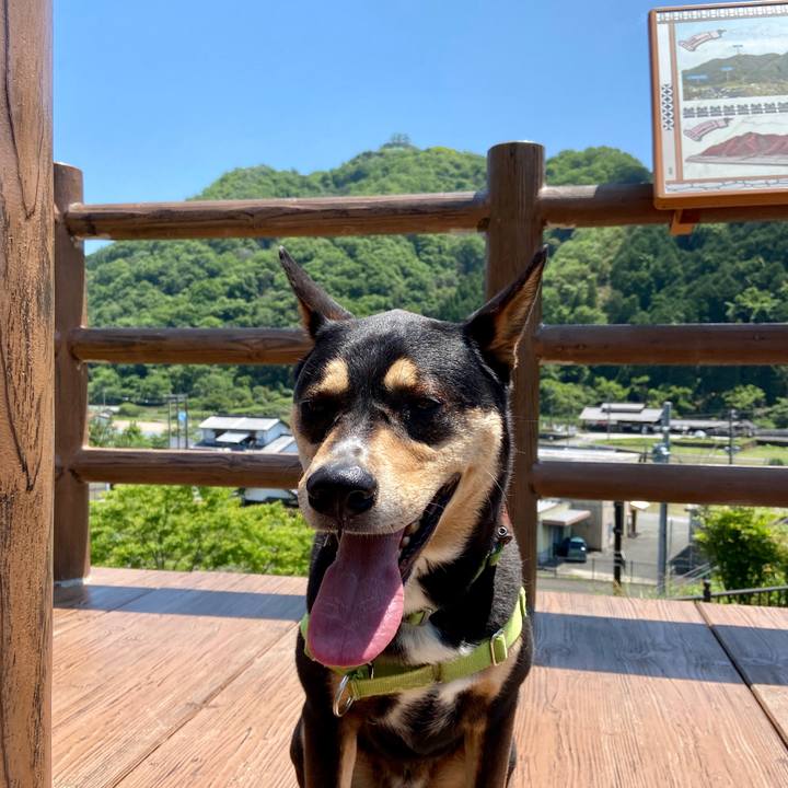 2c861bfa bacd 42c8 b180 535170ae7b88 1621766517784