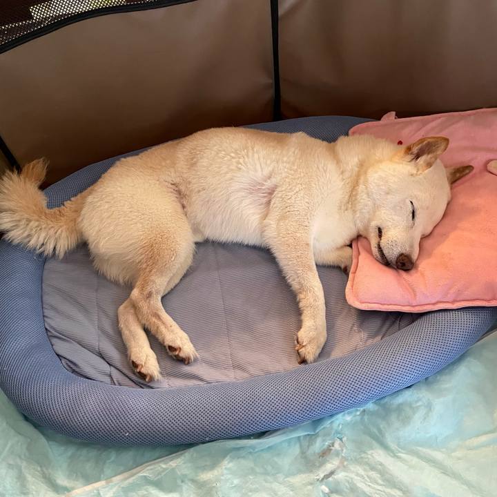 2c861cc9 d6f6 41cf a151 9046f6936529 1656913959235