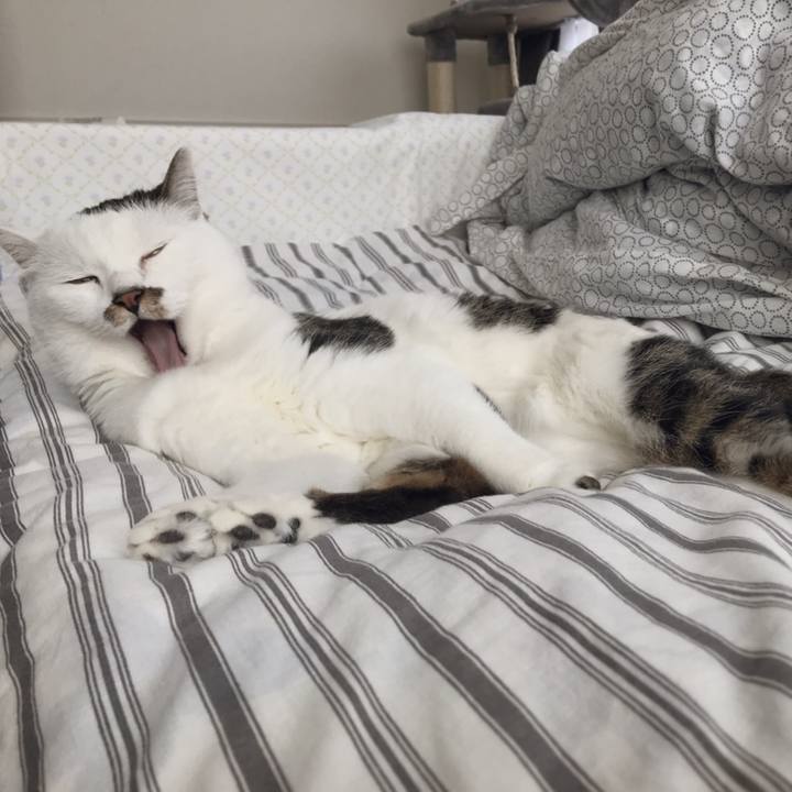 2c8639d7 3897 42af 92e5 c69f6855c9d3 1557553687526