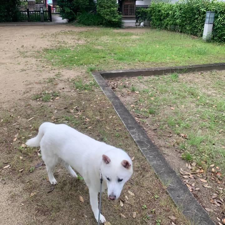 2c8657ce 187f 4604 9879 208a64487334 1559477905846