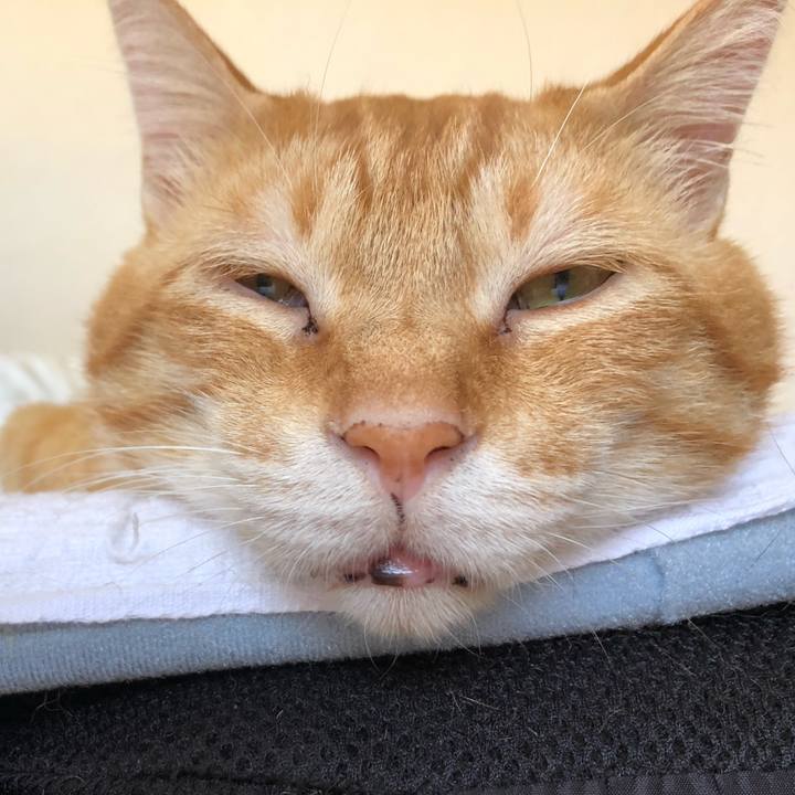 2c8671e7 8e12 4530 b383 3ffb850e39fe 1599275194583