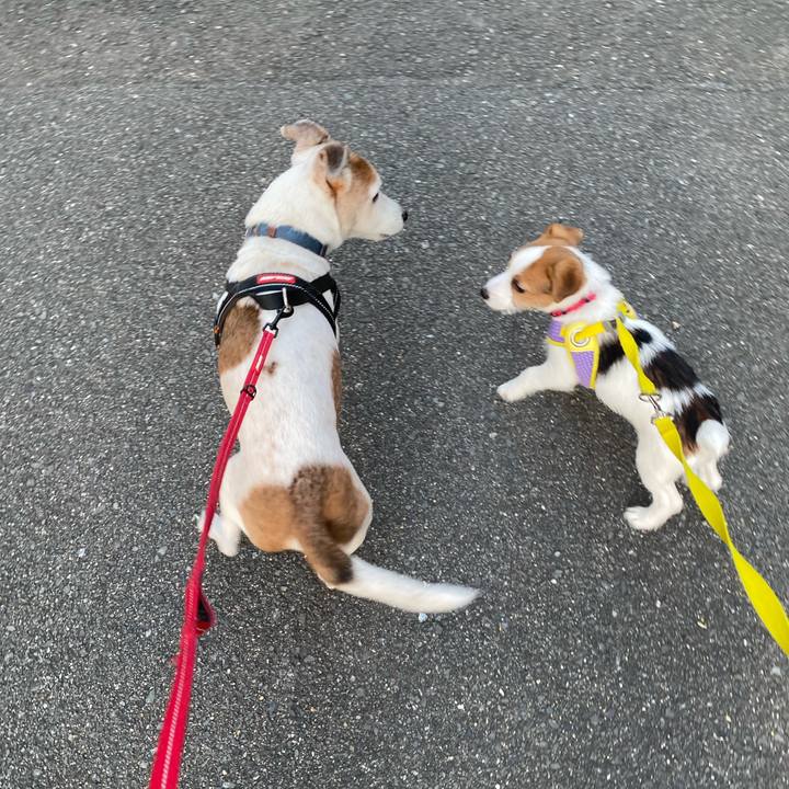 2c86843b 8457 4add 9fcd 8c5eb08a253a 1612477864111