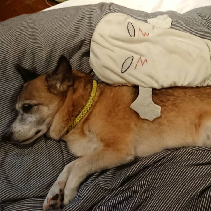 2c8690c8 8887 46b3 9a92 45d3d2946d6c 1592398917156