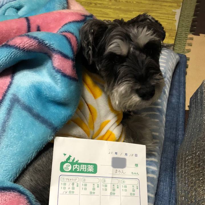 2c86a5bf 68de 4d18 b9fe e188fea4d24d 1674038578181