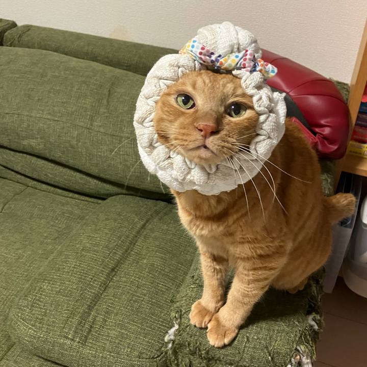 2c86b57d 47cc 485c af97 2acf6b367078 1759398055745