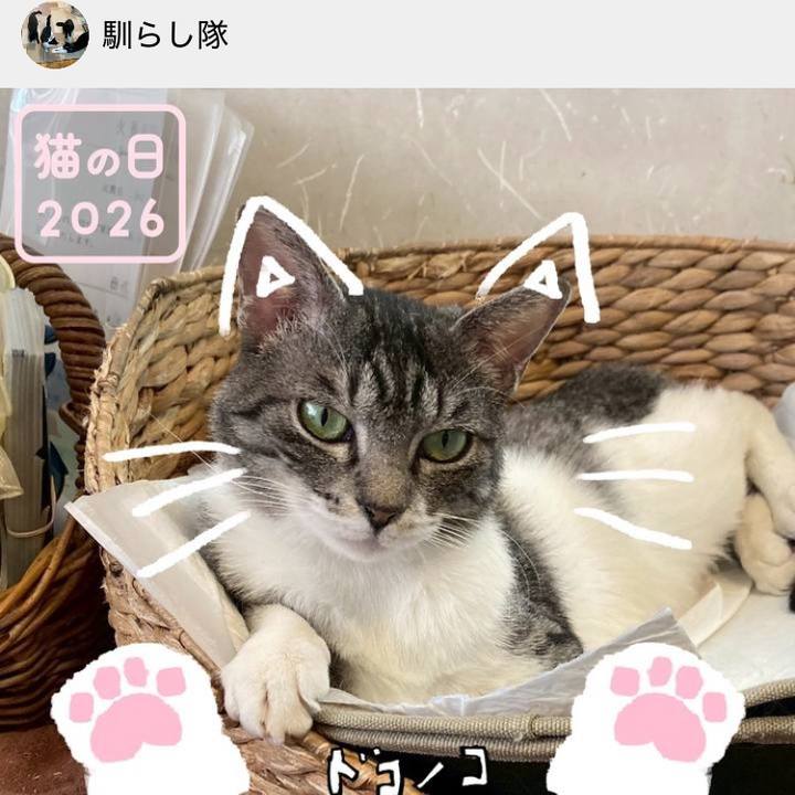 2c86bcd2 084b 45cb 909d c38f0611a96b 1774689672802