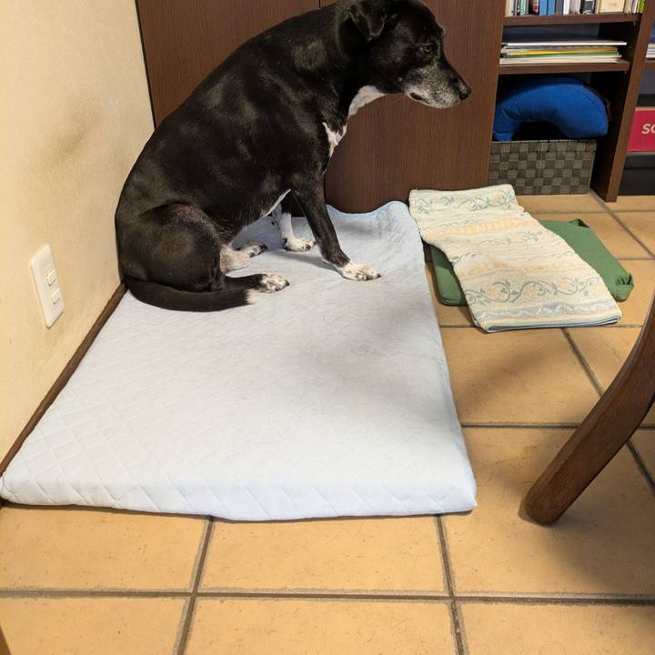 2c86c392 79aa 4f7d bd19 47571ffa5a3b 1758502222083