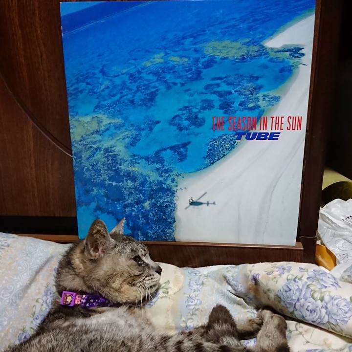 2c86e461 ee31 4a2d 9a71 cf798f23eb14 1596628645187