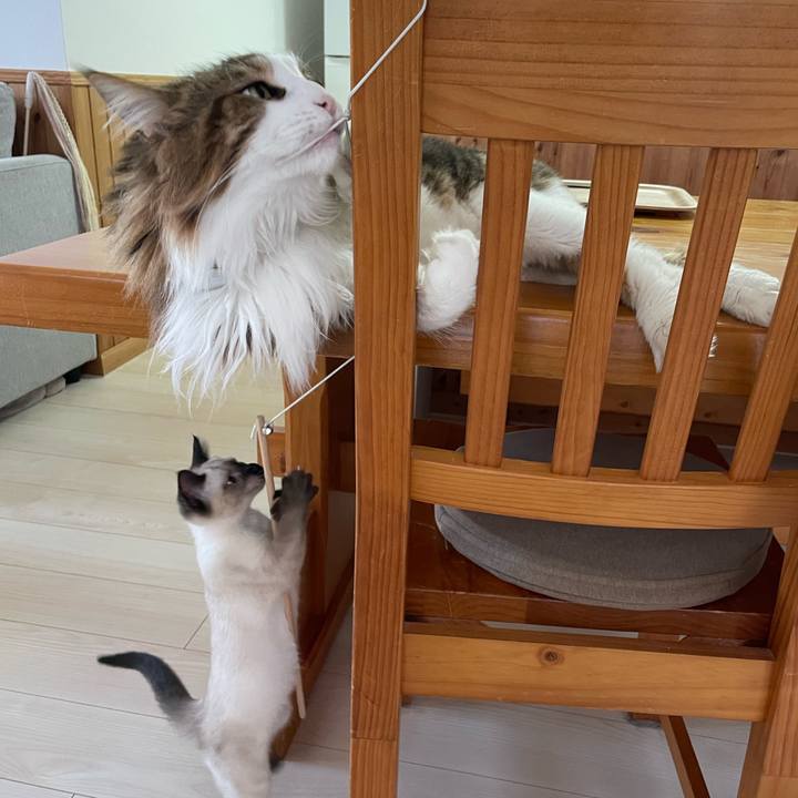 2c86f207 ff1f 43e3 8b53 4199fa8ee834 1690881874677