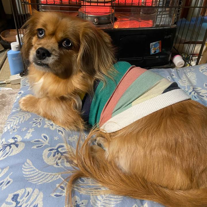 2c873ff8 9335 40cf 8d66 a1a861148e69 1611092613487