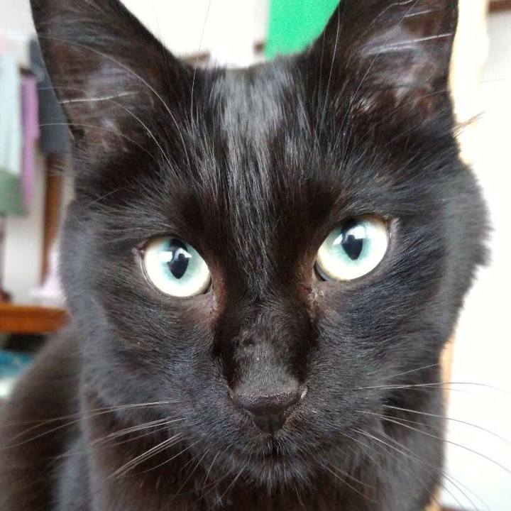 2c876b76 c0d6 45ec a701 a14bec2b18ab 1619232922780