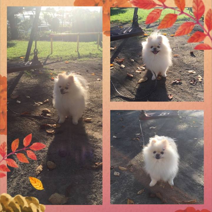 2c877f41 41ec 4a84 9024 6fd597a5fec7 1600678032932