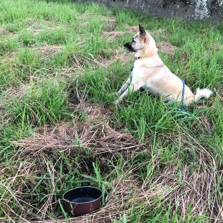 2c878332 40b9 47f2 b434 de2a6bfae5ee 1568200960422