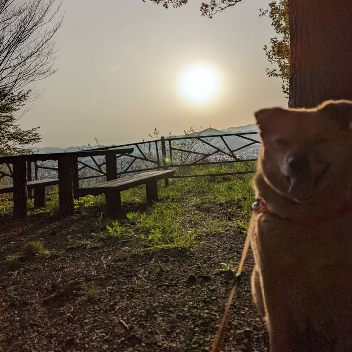 2c878b6d cd62 47ff a15d f17992c9c3bd 1650890376428