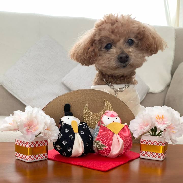 2c87c986 455e 4581 bd18 40b47180a710 1772507898168