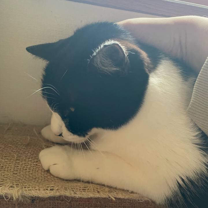 2c881336 e3f2 46da 920e 5147ecb1e065 1771368717389