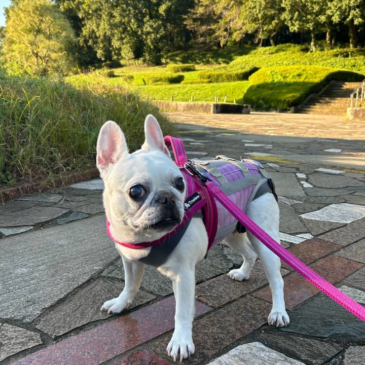 2c881de8 20fc 427d b549 0b686a6d69b9 1728869769641