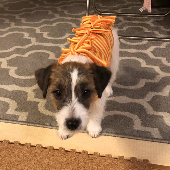 2c8838c9 8fbb 46f2 8386 0a0074f28710 1580819684628