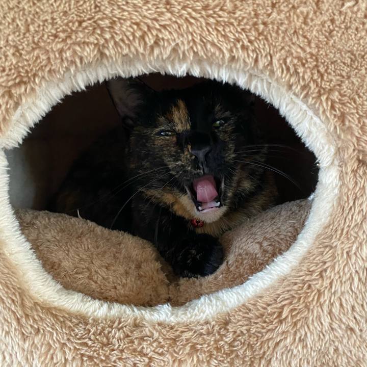 2c885b34 4d02 4441 95ad 852e6ce9bb9c 1733921709095