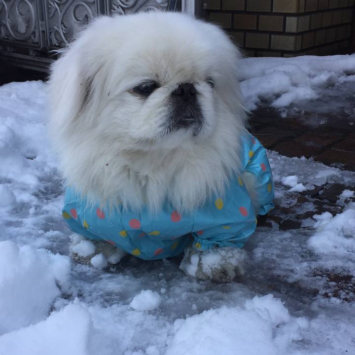 2c886f37 9f34 493e a622 d1acc99a80cd 1516668936774