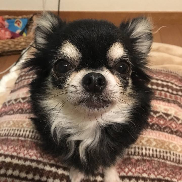 2c8872c4 e0a9 4f09 9860 d1bb6a3fddf0 1508493227231