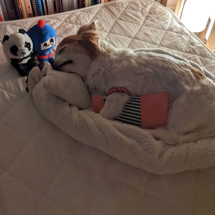 2c88b620 d4cd 4d8b ab8e 9d4fb494e9f0 1685383077567