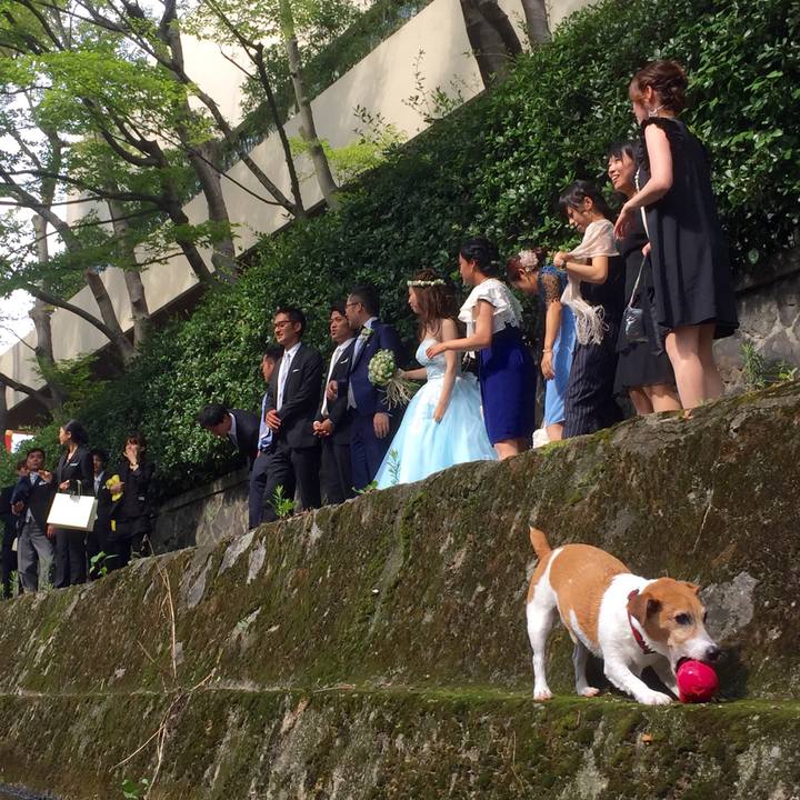 2c88f140 c5b2 4764 b55f 6470db51ded8 1541071406378