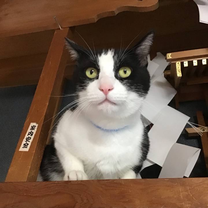 2c891092 6da1 489e af32 ab30bc9e0491 1718527623268