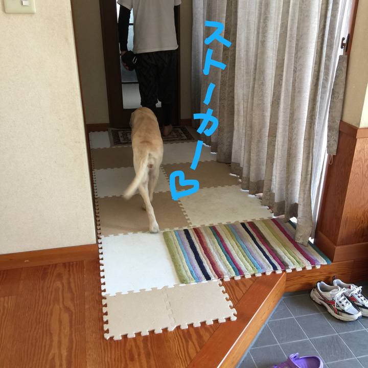 2c891d0f ebf6 4cd6 a0c8 c20e3f2dc43b 1527993514296