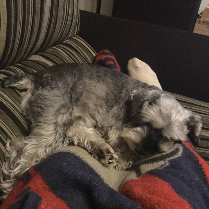 2c891ed5 9cfe 470f a09b 497277db5ee7 1511005694931