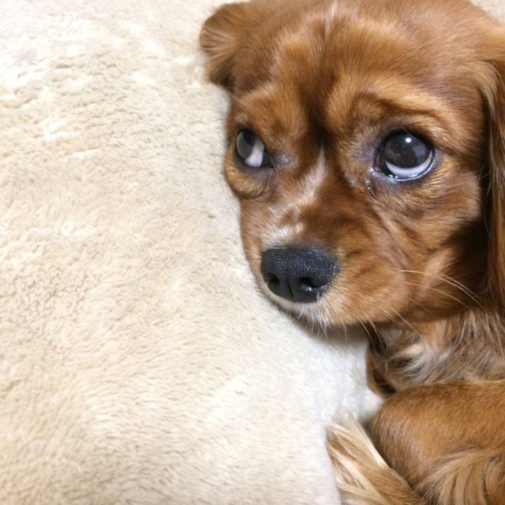 2c89385d 9fee 42bc 84c5 3bc395a98f8e 1519163881392