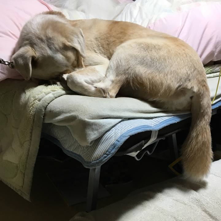 2c89571d 1a3f 4ab9 9815 97762bac00f9 1515339967269