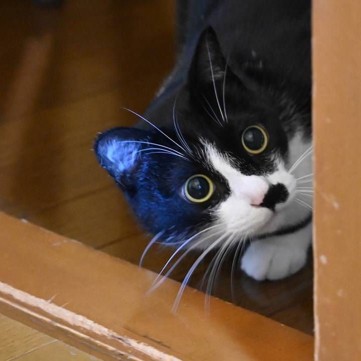 2c896691 b9ae 4ed0 ac55 a819febaf453 1557332023598