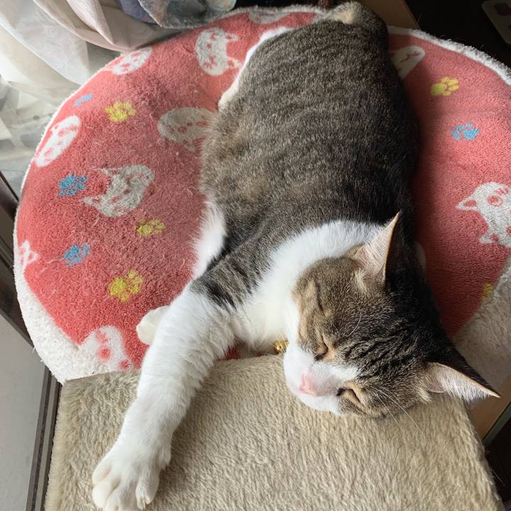 2c896fa6 90eb 40be 9fb3 4f6dd7cc448c 1569111529777