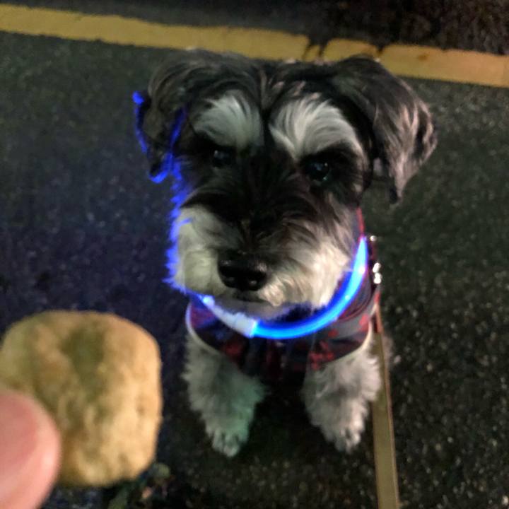 2c8978a3 92d2 4c47 8b8c 171b452c4db4 1670580950522