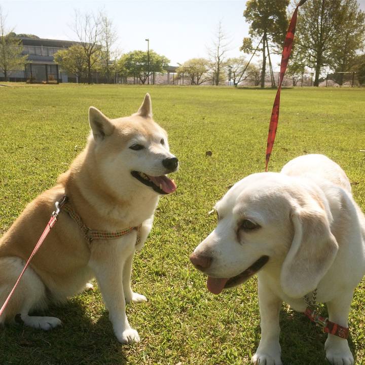 2c899848 aa0f 4ca0 b5af 850db1c6317a 1554737767379