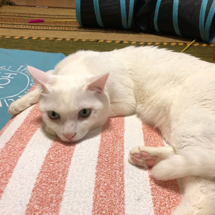 2c89b169 858d 4156 8500 874393543d21 1525781739219