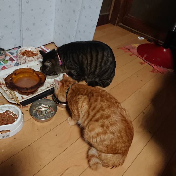 2c89eccd 39b9 44ab a008 f9ed41454edc 1644093448556