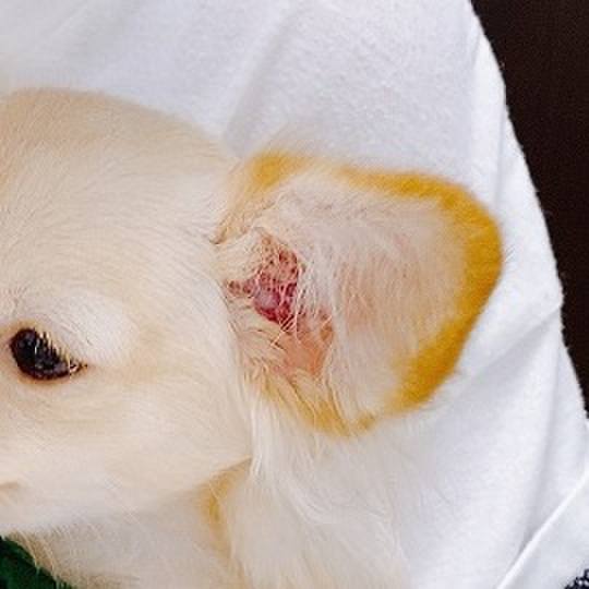 2c89ed8d cb4b 4371 abbc 0dfba1958a7e 1599305028957