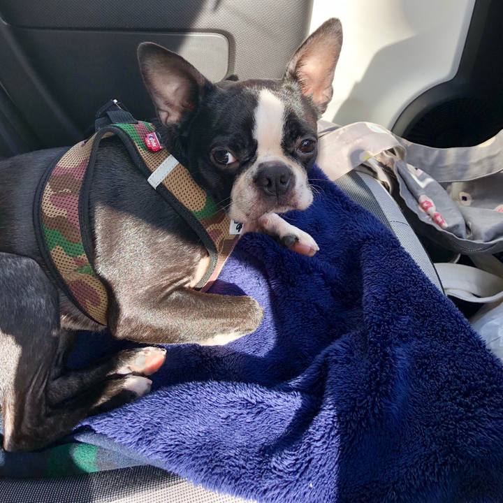 2c8a57ff 60fd 4430 9776 440a2e00d5f5 1516781272188