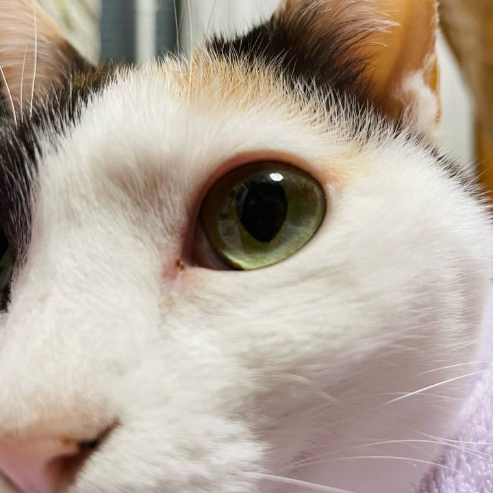 2c8a884b 5c38 4258 aabf f6b1c20b1cc4 1650678231255