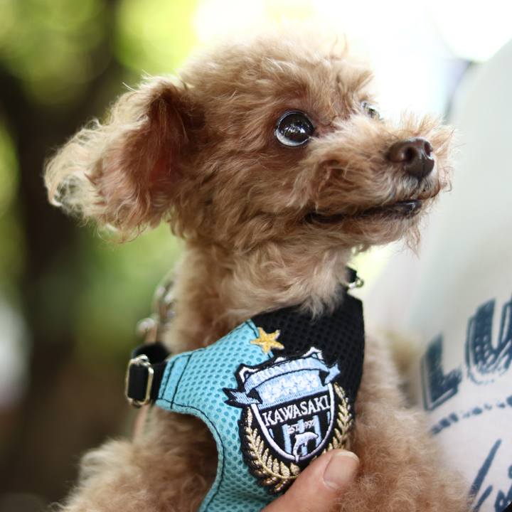 2c8aa3fa 5180 462f bffb 8ffb39b97a29 1604485049509