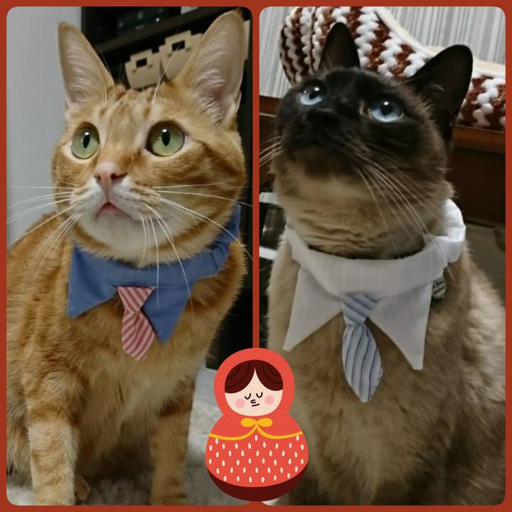 2c8aa816 afb0 434a 97a3 6220e624af61 1521808027775